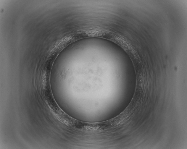 X0000085750690200703301403