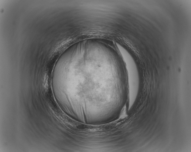 X0000085750692200703301403