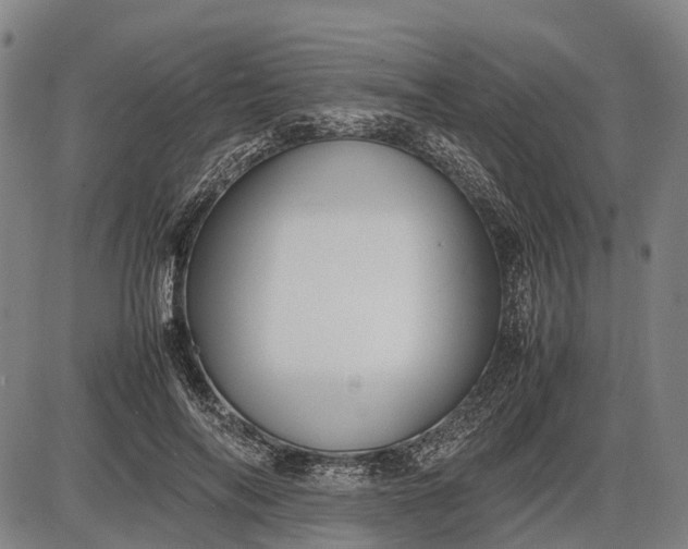 X0000085750694200703301403