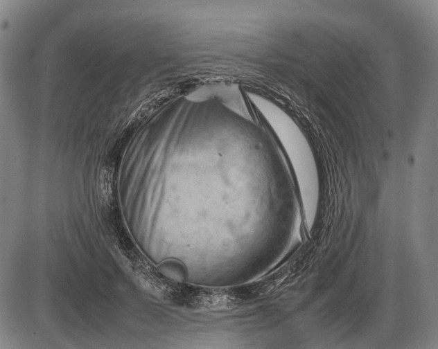 X0000085750695200703301402