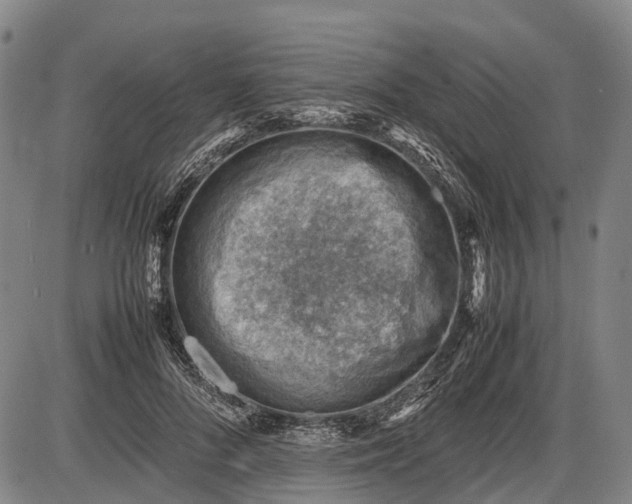 X0000085750696200703301402