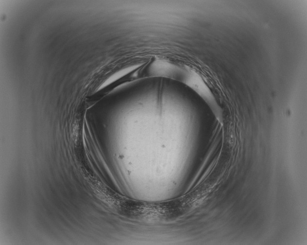 X0000085750697200703301402