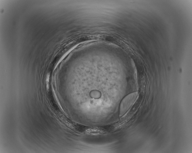 X0000085750699200703301402