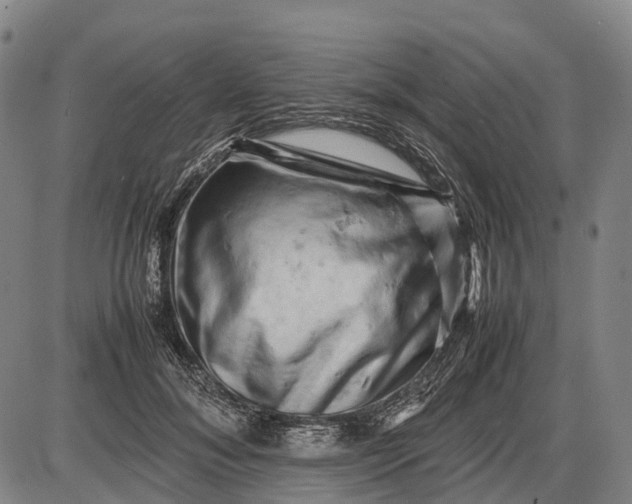 X0000085750700200703301402