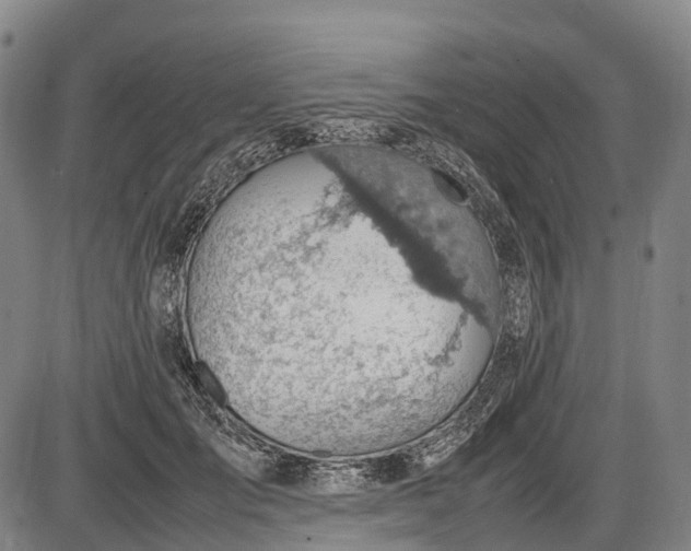 X0000085750701200703301402