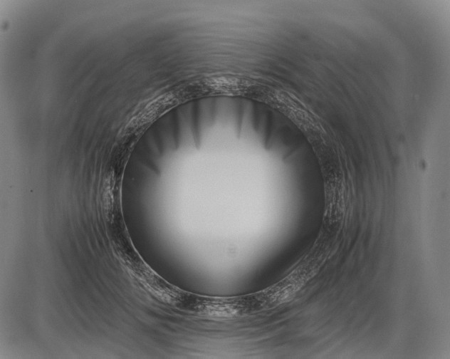 X0000085750702200703301402