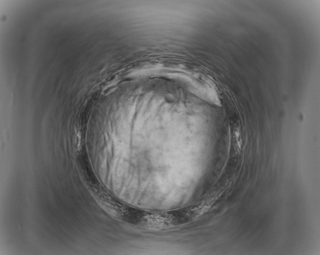 X0000085750703200703301402