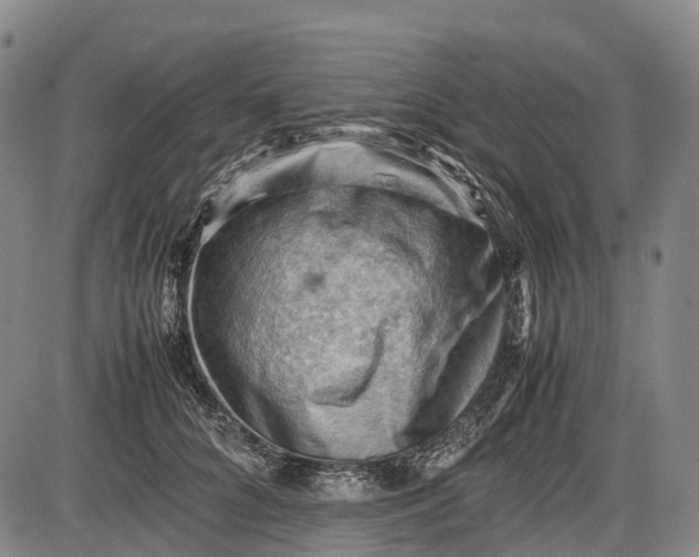 X0000085750704200703301402