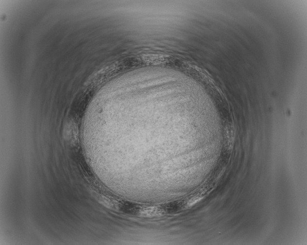 X0000085750705200703301402