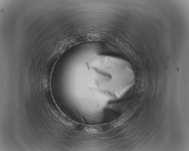 X0000085750706200703301402