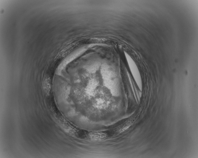 X0000085750707200703301402