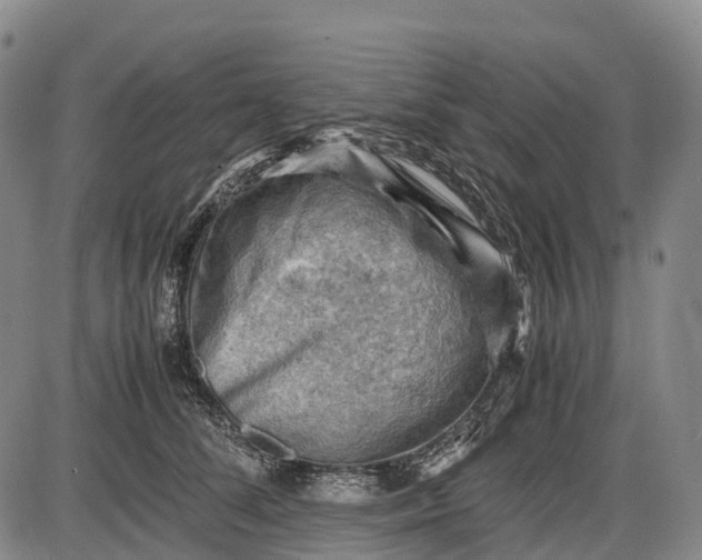 X0000085750708200703301402