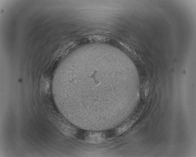 X0000085750709200703301402