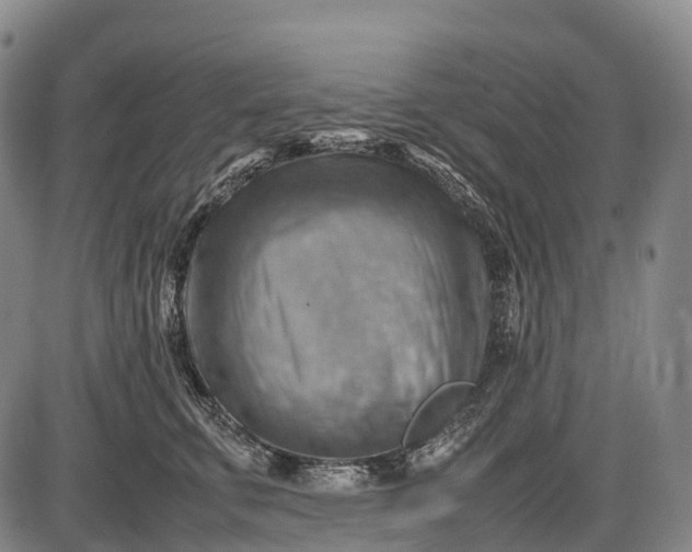 X0000085750711200703301402