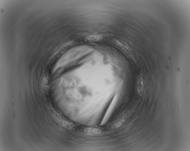 X0000085750714200703301402