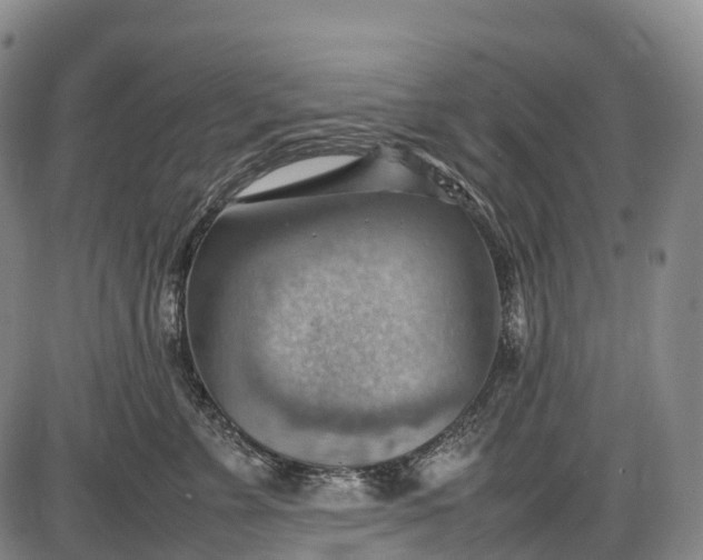 X0000085750715200703301402