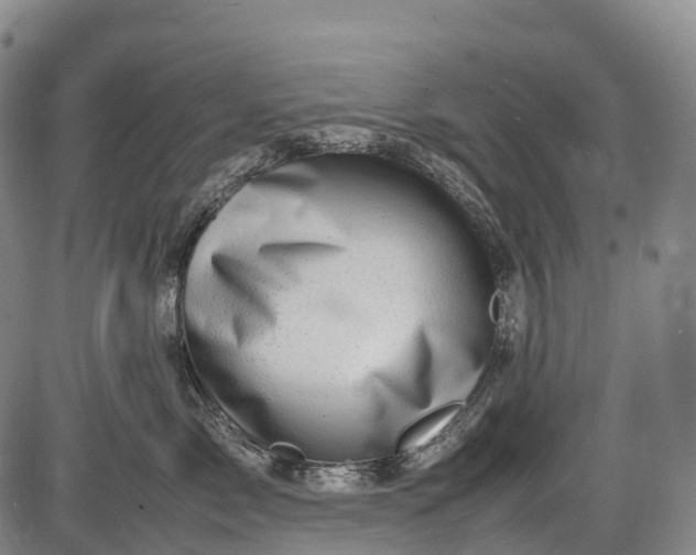 X0000085750717200703301402