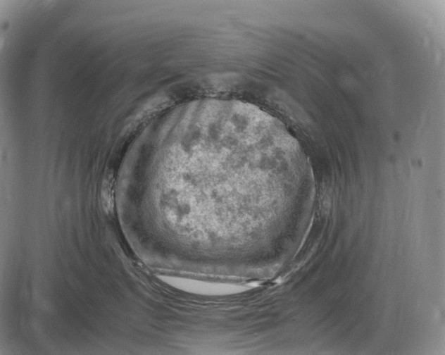 X0000085750719200703301402