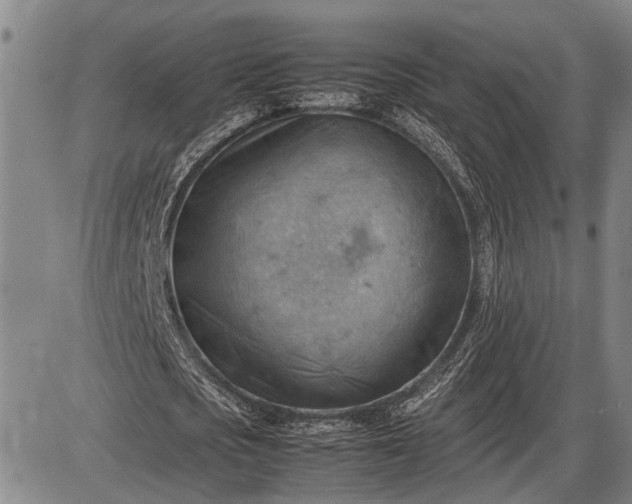 X0000085750721200703301401