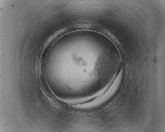 X0000085750722200703301401