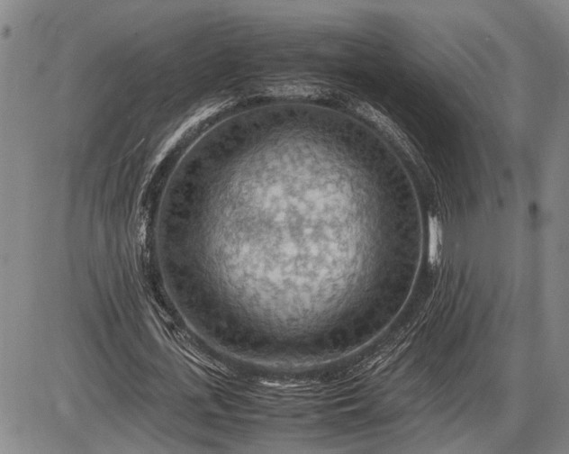 X0000085750723200703301401