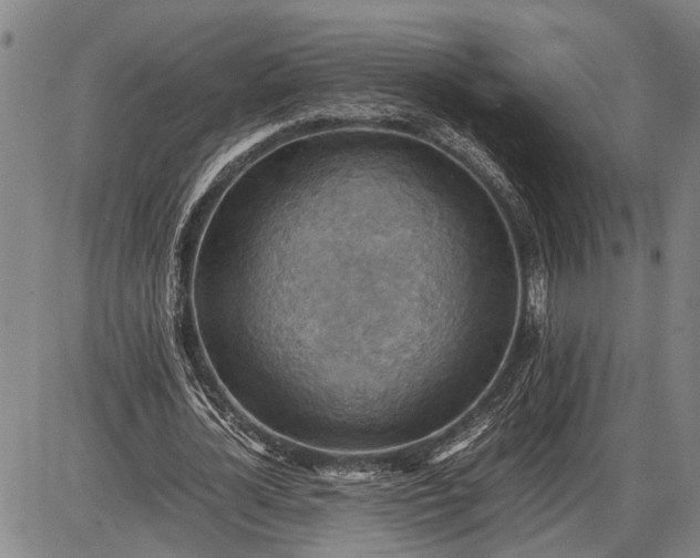 X0000085750724200703301401