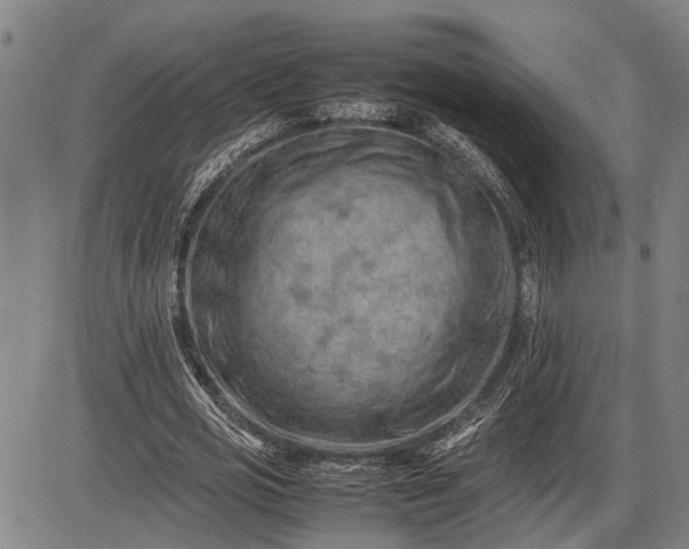 X0000085750725200703301401