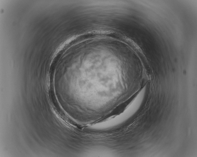 X0000085750726200703301401