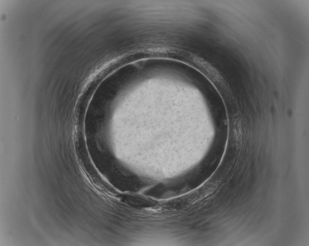 X0000085750728200703301401