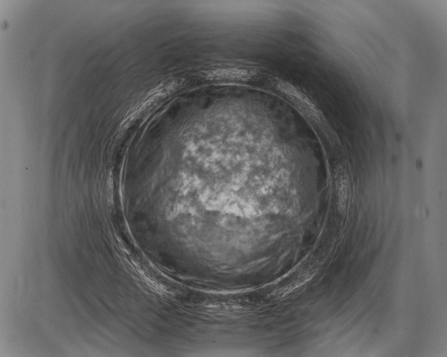 X0000085750729200703301401