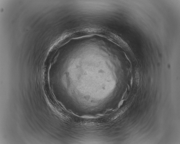 X0000085750730200703301401