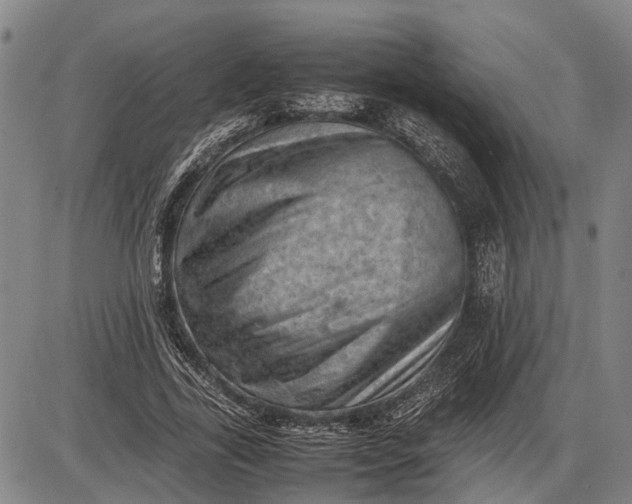 X0000085750731200703301401