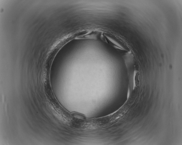 X0000085750732200703301401