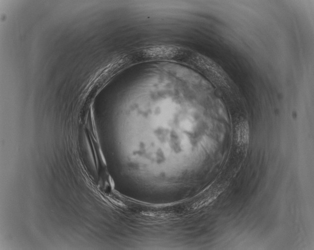 X0000085750733200703301401