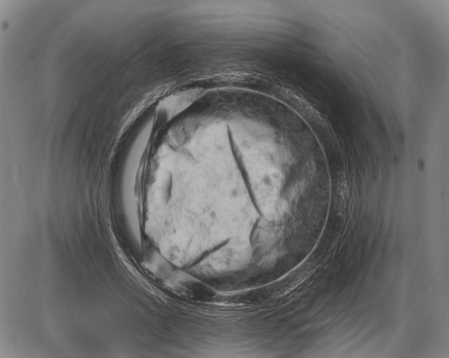 X0000085750734200703301401