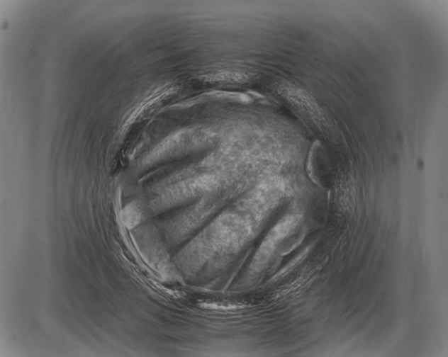 X0000085750735200703301401