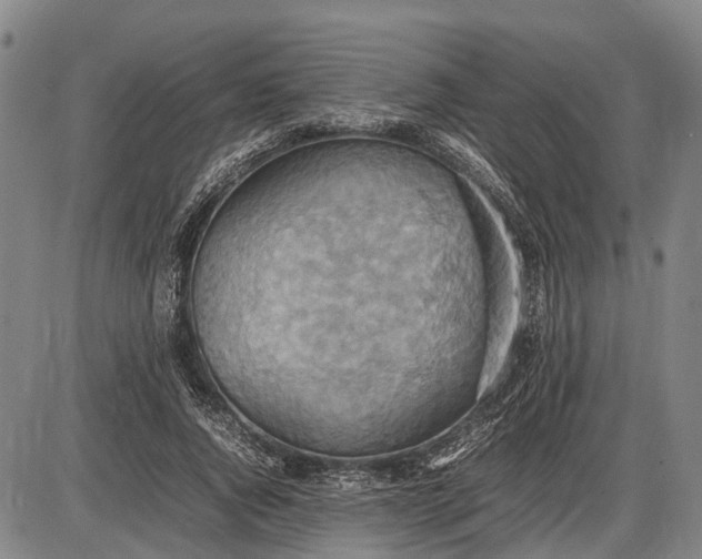 X0000085750736200703301401