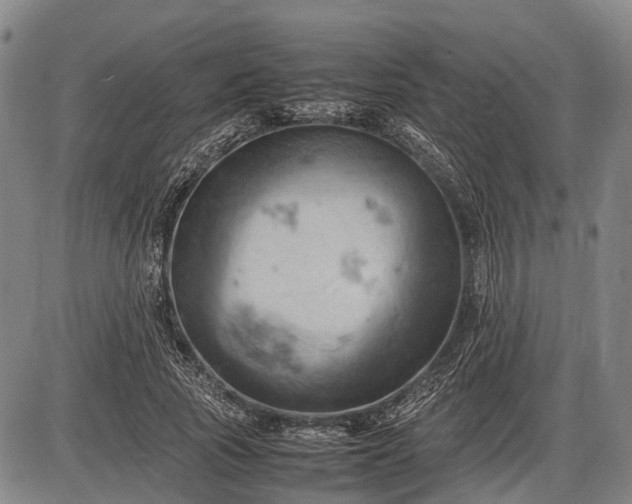 X0000085750737200703301401