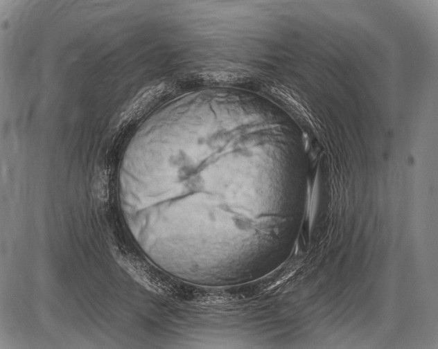 X0000085750738200703301402