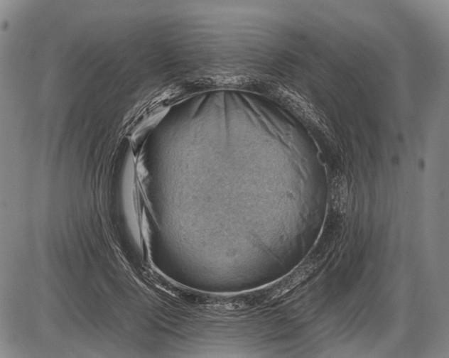 X0000085750740200703301402