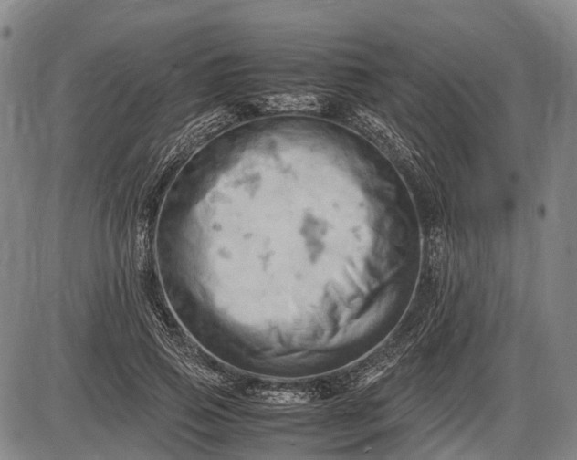 X0000085750741200703301402