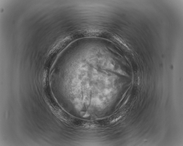 X0000085750742200703301402