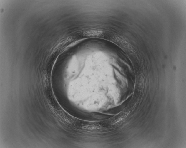 X0000085750743200703301402