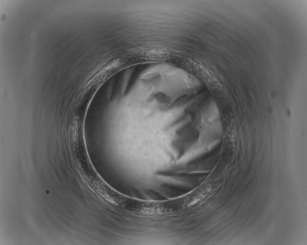 X0000085750744200703301402