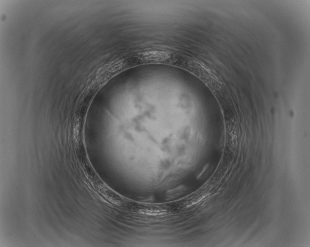 X0000085750745200703301402