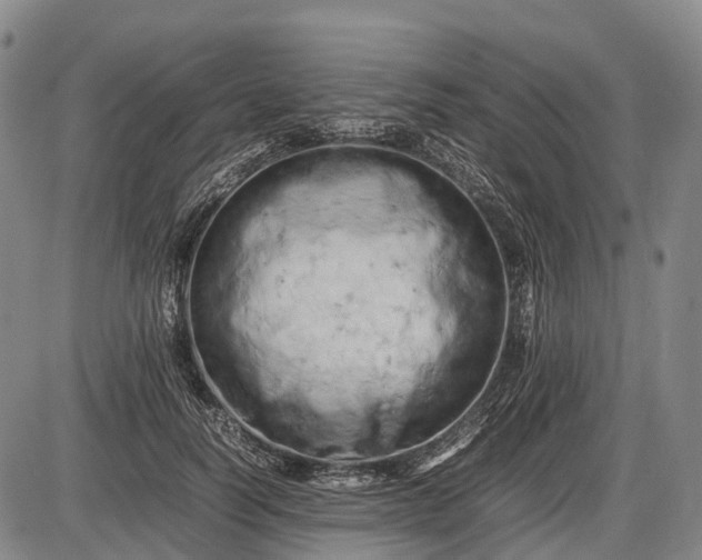 X0000085750746200703301402