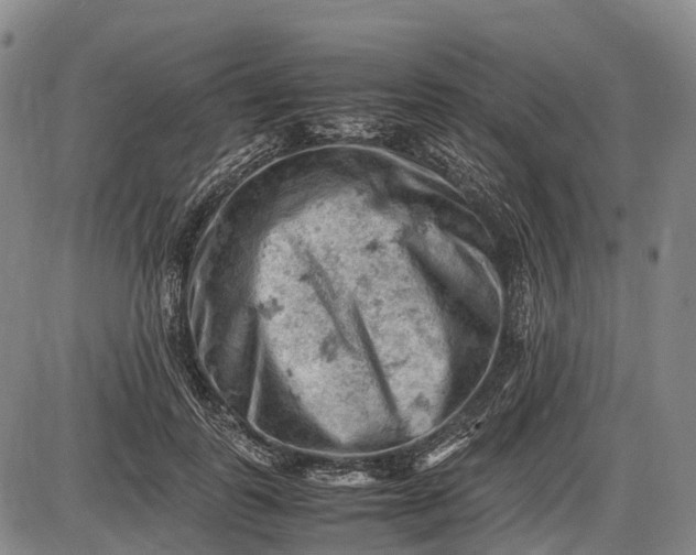 X0000085750747200703301402