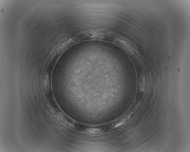 X0000085750748200703301402