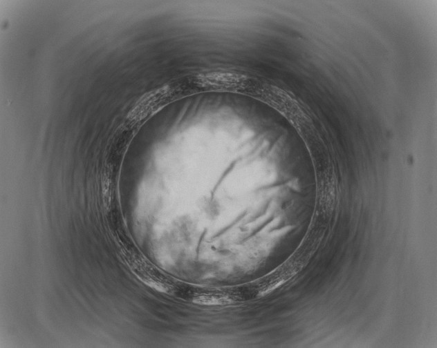 X0000085750749200703301402