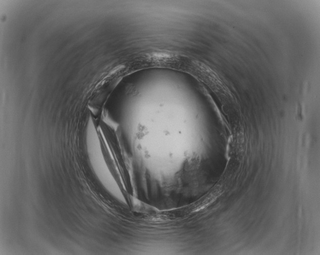 X0000085750750200703301402